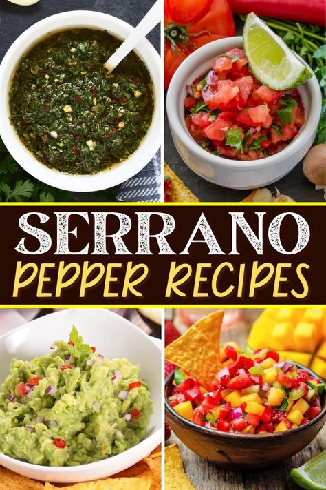 Try these Serrano pepper recipes when you want some extra heat! From salsa to rice to pad Thai, you won't be able to get enough of these peppers. Salsa Peppers Recipes, How To Use Serrano Peppers, Candied Serrano Peppers, Roasted Serrano Pepper Recipes, Serrano Peppers Recipes, Stuffed Serrano Pepper Recipes, Seranno Pepper Recipe, Serrano Chili Recipes, Serrano Pepper Recipes Dishes