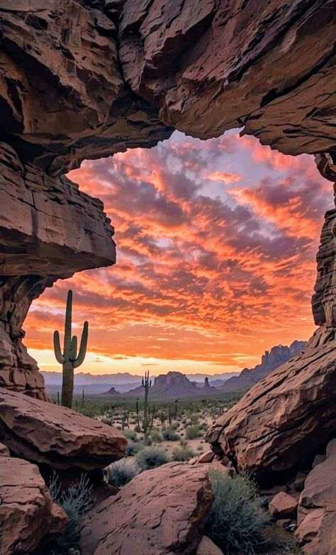 Sedona National Park, Colorado Landscape Photography, Mexican Desert Aesthetic, Sunset In The Desert, Sunsets Mountain, Desert Cave, Cactus Aesthetic, Canyon Ultimate, Hiking Activities