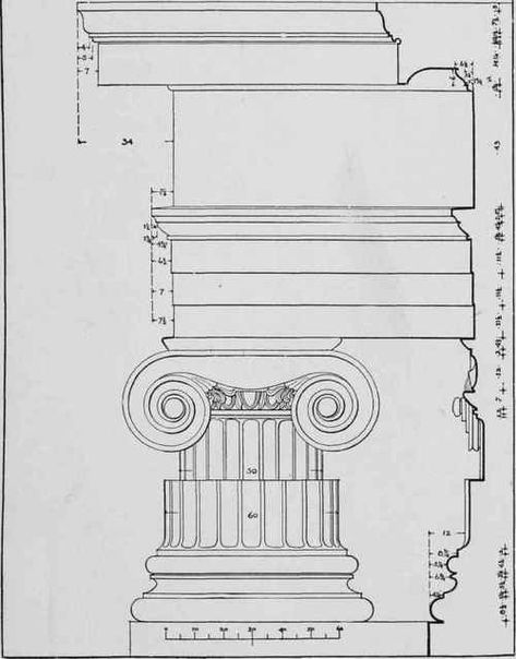 Ionic Order, Rome Architecture, Architectural Orders, Ionic Column, Architectural Columns, Hellenistic Period, Architectural History, Diagram Architecture, Architecture Illustration