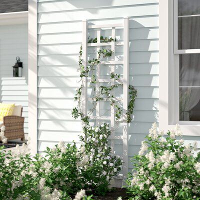 Lay the groundwork for growing vines, vegetables, and flowers with this trellis. Proudly made in the USA from vinyl, it resists weather, UV, fading, and rotting without any upkeep. Its openwork lattice design creates an airy and inviting feel, while a neutral hue helps this trellis blend with any existing arrangement. An anchor kit is included to help this piece free stand. The manufacturer backs this product with a 20-year warranty. Color: White | Arlmont & Co. Reinke 75" H x 22" W Lattice Pane Trellis Backyard, Vinyl Lattice Panels, Panel Trellis, Clematis Trellis, New England Arbors, Obelisk Trellis, Grape Trellis, Arch Trellis, Cheap Pergola