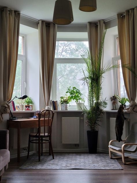 Bay window, plants, cosy home Bay Window Work Space, Updating Bay Window, Bay Window Plant Display Living Room, Bow Window Bedroom, Bay Window Shelves, Window Area Decor, Long Windows Living Room, Bay Window Decorating Ideas Living Room, Bay Window Plant Ideas