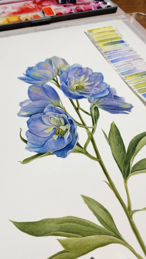 flowers, botanical painting, plants, interior painting, nature, watercolor, blue flowers, garden, delphinium Delphinium Painting, Painting Plants, Blue Flowers Garden, Plants Interior, Blue Delphinium, Nature Watercolor, Flowers Botanical, Painting Nature, Interior Painting