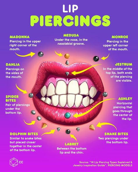 Ear Piercings Chart, Piercing Chart, Nose Ring Jewelry, Types Of Ear Piercings, Monroe Piercings, Face Piercings, Cool Piercings, Piercing Aftercare, Facial Piercings