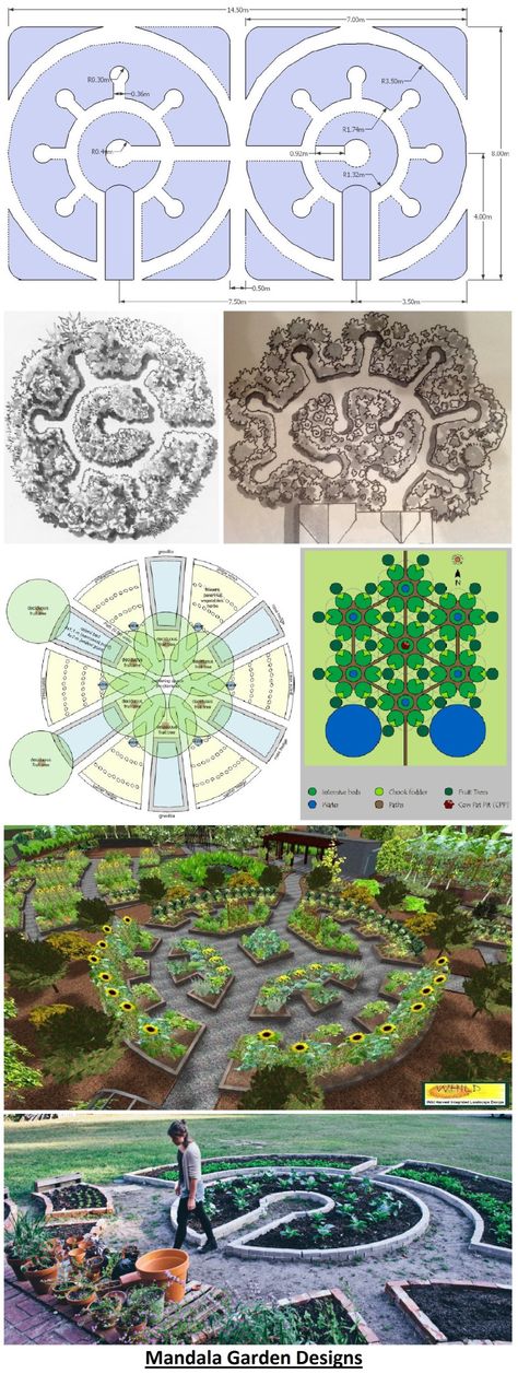 Permaculture Food Forest, Labyrinth Garden, Food Forest Garden, Keyhole Garden, Future Garden, Herbs And Flowers, Permaculture Gardening, Permaculture Design, Veg Garden