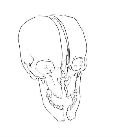 Drawing Stuff, A Skull, Drawing Reference, Okay Gesture, Split, Sketch, Humanoid Sketch, Drawings, Art