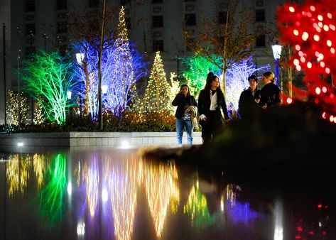 Giant Candy Cane, Liberty Tree, Holiday Lights Display, City Christmas, Christmas Light Show, Christmas Light Displays, Holiday Music, Twas The Night, Visual Display