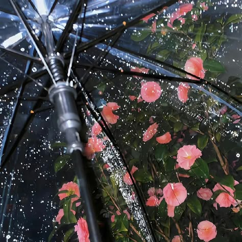 Rain Bts, Rainy Day Aesthetic, Pretty Images, Nature Aesthetic, The Villain, In The Rain, Aesthetic Photo, Pretty Pictures, Pretty Wallpapers