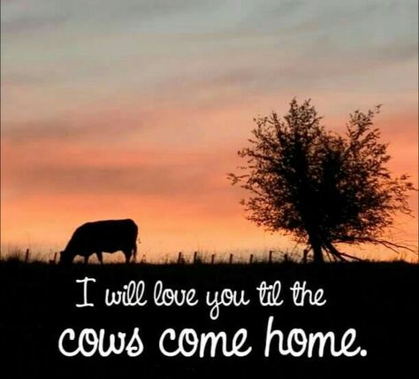 I will love you til the cows come home Cow Quotes, Summer Beach Quotes, Ranch House Designs, I Will Love You, Show Cattle, Southern Pride, Southern Sayings, Southern Life, Farmer Wife