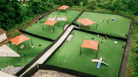 Luxury Dog Boarding, Dog Park Design, Dog Daycare Design, Dog Boarding Ideas, Dog Daycare Business, Indoor Dog Park, Luxury Dog Kennels, Dog Boarding Facility, Dog Boarding Kennels