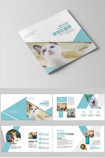 Fresh fashion pet shop brochure design typesetting#pikbest#templates School Pamphlet, Pet Advertising, Rack Cards Design, Brochures Design, Infographic Layout, Business Brochure Design, Brochure Design Layout, Header Design, Leaflet Design