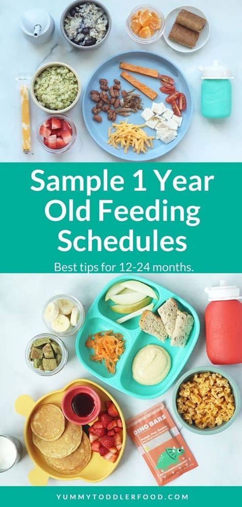 One Year Old Breakfast Ideas, One Year Old Foods, Picky Eating Toddler, 12 Month Baby Food, Easy Toddler Lunches, Meal Schedule, Easy Toddler Meals, Eating Schedule, Toddler Breakfast