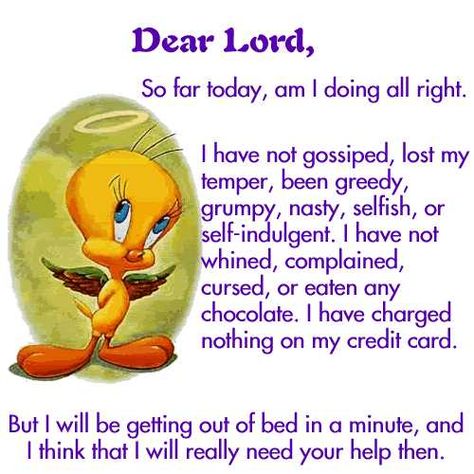 maxine cartoons for facebook | Wise Comments From Tweety………….. « itsmehawkeye Funny Prayers, Tweety Bird Quotes, Bird Quotes, Funny New Year, Birthday Quotes Funny, Its Friday Quotes, Tweety Bird, Funny New, Yellow Bird