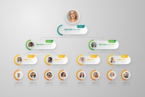 Organisation Chart Design, Org Chart Design, Organizational Chart Design Ideas, Organization Chart Design, Gradient Infographic, Organisation Chart, Circular Diagram, Organizational Chart Design, Diagram Infographic