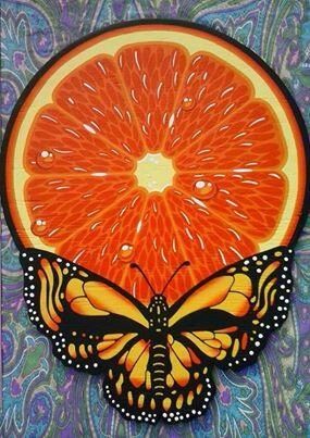 Orange Butterfly Stealie Grateful Dead Tattoo, Sunflower Tattoos, Dancing Bears, Rock N’roll, Forever Grateful, Grateful Dead, Concert Posters, Skull Art, A Butterfly