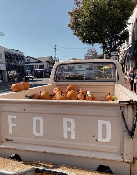 Southern Fall Aesthetic, Florida Fall Aesthetic, Fall Country Aesthetic, Country Fall Aesthetic, Old Truck Aesthetic, Old Money Fall Aesthetic, Fall Vintage Aesthetic, Fall Aesthetic Vintage, Fall Aesthetic Pictures