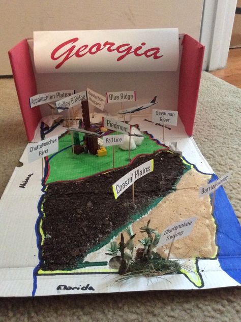 5 Regions Of Georgia Project, Georgia Regions 2nd Grade, Georgia Regions Project, Georgia Regions 2nd Grade Project, Georgia Habitats, Georgia Regions, Habitats Projects, Georgia History, 3rd Grade Social Studies