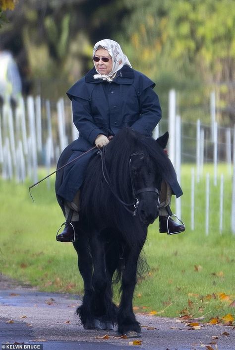 Wearing boots, riding gloves, a scarf around her head and sunglasses, the royal was pictur... Queen Elizabeth 2, Elizabeth 2, Rainha Elizabeth Ii, Remembrance Sunday, Hm The Queen, Elisabeth Ii, Queen Pictures, Isabel Ii, Horses And Dogs