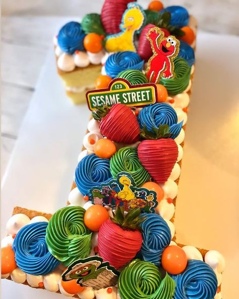 Sesame Street Cakes, Sesame Street First Birthday Boy, Sesame Street Birthday Smash Cake, Sesame Street 2nd Birthday Boy, Sesame Street Charcuterie Board, Sesame Street Cake Ideas, Sesame Street Smash Cake, Sesame Street First Birthday, Sesame Street Cake Pops