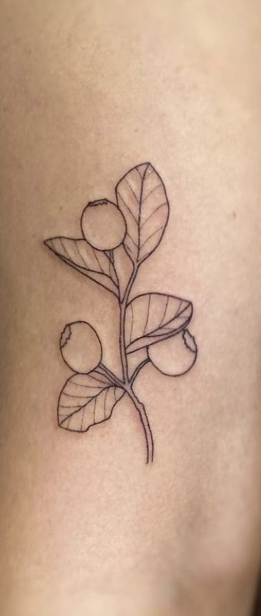 Tiny Blackberry Tattoo, Lingonberry Tattoo, Blueberry Tattoo Minimalist, Cranberry Tattoo, Sophia Tattoo, Huckleberry Tattoo, Motorcycle Babe, Blueberry Tattoo, Blackberry Tattoo