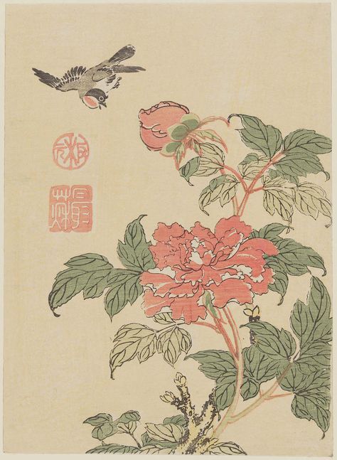 Bird and Peonies 牡丹に小鳥  Japanese Edo period Artist Unknown Peony Illustration, Japanese Myth, Japanese Edo Period, Flowers Artwork, Flower Mural, Flower Drawing Tutorials, Japanese Drawings, Japanese Tattoo Art, Flower Artwork