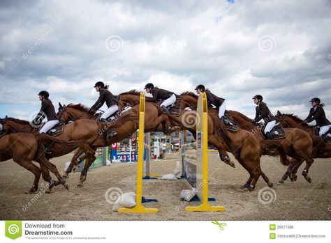 Grand Prix Show Jumping, Multiple Exposure, Show Jumping, Horse Rider, Grand Prix, Peugeot, Stock Images Free, Equestrian, Camel