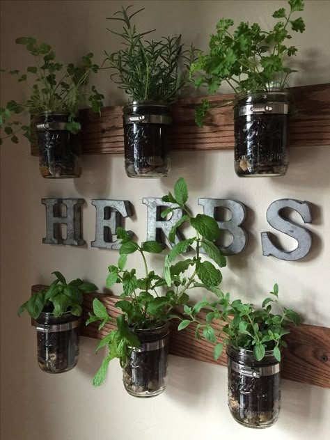 Indoor herb wall plans Hanging Herb Gardens, Garden Wall Designs, Herb Wall, Herb Garden In Kitchen, Boy Rooms, Diy Herb Garden, Kitchen Herbs, Walled Garden, Garden Types