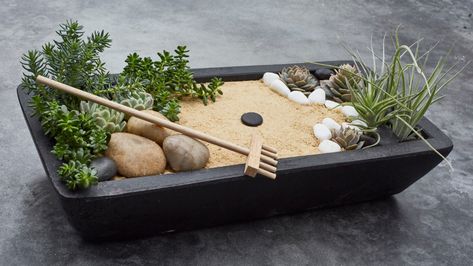 6 Types of Miniature Zen Gardens that Help You Relax - ChinaMarket Diy Zen Garden Mini, Mini Zen Garden Diy, Mini Zen Garden Ideas, Diy Zen Garden, Zen Garden Mini, Jardin Zen Miniature, Mini Jardin Zen, Small Zen Garden, Miniature Zen Garden