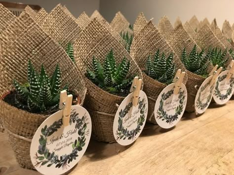 Deco Champetre, Succulent Favors, Cactus Party, Gift Favors, Wedding Gifts For Guests, Succulents Diy, בר מצווה, Plant Gifts, Shower Favors