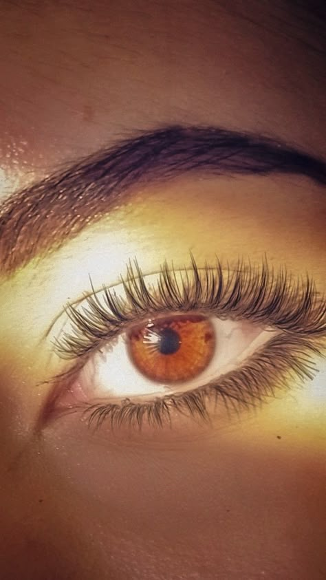 Brown eye during golden hour Reddish Brown Eyes, Light Amber Eyes, Dark Amber Eyes, Persephone Moodboard, Brown Eyes In The Sun, Honey Brown Eyes, Golden Brown Eyes, Brown Eyes Girl, Light Brown Eyes