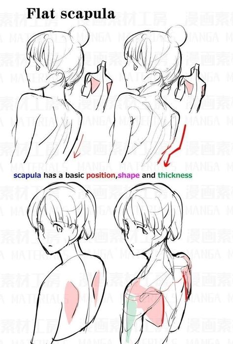 Torso Tutorial, Manga Tips, Reference Study, Drawing Help, Body Drawing Tutorial, Anatomy Sketches, Body Reference Drawing, 캐릭터 드로잉, Poses References