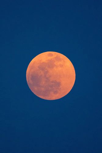 Moon, red moon, blue and orange and moonlight | HD photo by chuttersnap (@chuttersnap) on Unsplash Moon Images Hd, Full Moon Water, Orange Moon, Moon Water, Moon Images, Blue Pictures, Moon Pictures, Orange Walls, Orange Aesthetic