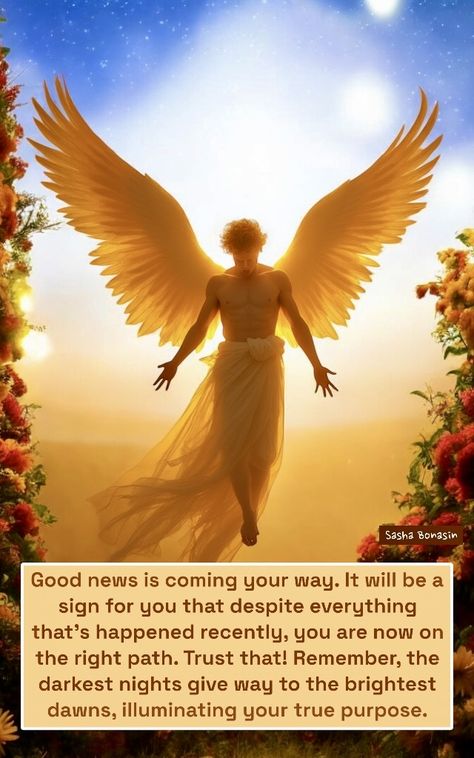 Angel Messages For Me Today, Angel Love Quotes, Gnostic Quotes, Sasha Bonasin, Vibrational Alignment, Job Affirmations, Twin Flame Love Quotes, Light Beings, Archangel Prayers