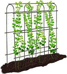 Lalahoni Garden Cucumber Trellis Large 6ft Tall Metal Trellis for Climbing Plants Support Vegetable Peas Fruit Vine Outdoor A-Frame Trellis, Nylon Garden Netting Included, Lightweight, Black Tunnel Trellis, Pea Trellis, Garden Arch Trellis, Cucumber Trellis, Arch Trellis, Metal Trellis, Garden Netting, Pole Beans, Support Plante