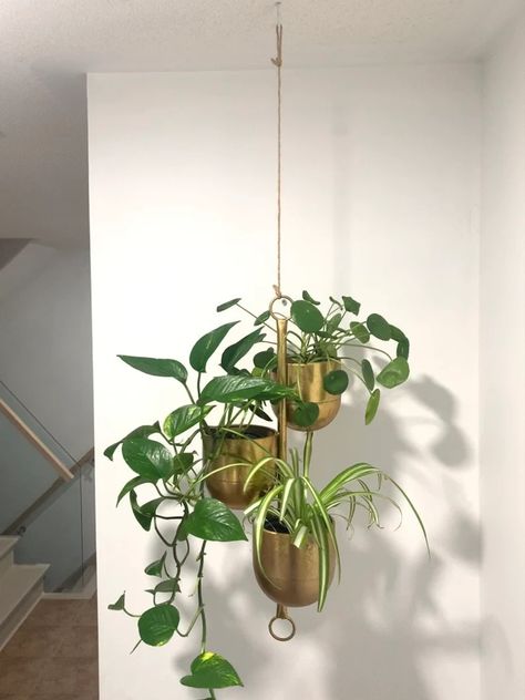 Brushed Gold 3-pot Hanging Planter - Etsy Plant Bedroom Decor Ideas, Gold Plant Hanger, Corner Hanging Plant Living Rooms, Hanging Planter Ideas Indoor, Hanging Plants In Bathroom, Hanging Plant Aesthetic, Hanging Plants Bedroom, Plant Organization Indoor, Plants Hanging From Ceiling