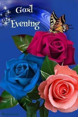 Colored Rose Evening Image Good Evening Images Beautiful, Good Evening Photos, Good Evening Images, Good Evening Love, Evening Images, Good Evening Messages, Good Evening Wishes, Good Night Beautiful, Good Evening Greetings