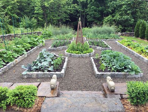 Colonial Garden, Parterre Garden, Micro Farm, Soil Erosion, Veggie Gardens, Healthy Soil, Herb Garden Design, Attracting Beneficial Insects, Potager Garden