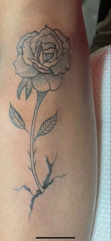 Rose Growing, Growing Roses, Grow Out, Flower Tattoo, Tattoos, Quick Saves