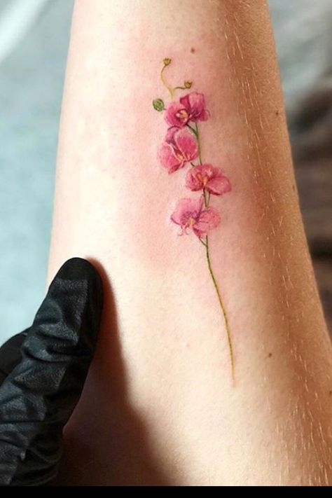 Vanda Miss Joaquim Tattoo, Bourgainvilier Flower Tattoo, Delicate Orchid Tattoo, Bougainvillea Flower Tattoo, Pink Orchid Tattoo, Orchid Tattoo Color, Red Orchid Tattoo, Begonia Flower Tattoo, Colombian Tattoo Ideas