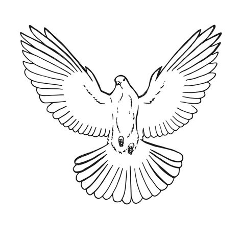 Flying Dove Drawing, White Dove Drawing, Dove Outline, Dove Drawing, Dove Flying, Fly Drawing, Dove Images, Crown Drawing, Sun Drawing