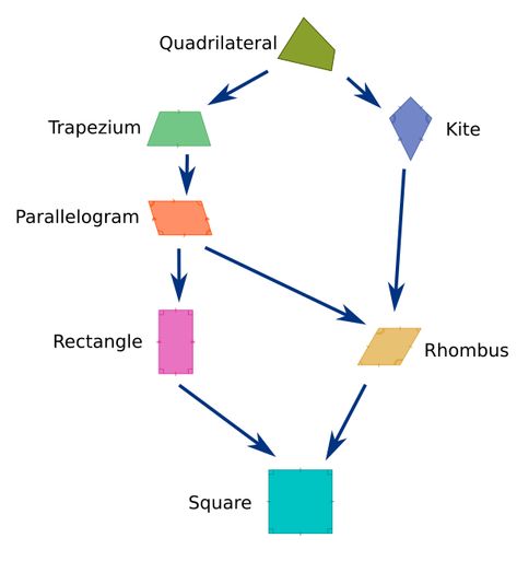 https://graphicmaths.com/gcse/geometry/quadrilateral-family-tree/ Quadrilateral family tree for GCSE Quadrilateral Family Tree, Gcse Maths, Gcse Math, Tree Drawing, Family Tree, The Family, Geometry, Pins, Quick Saves