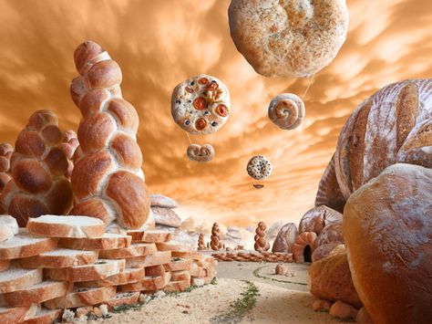 Food landscape on Behance Carl Warner, Bread Tree, Food Landscape, Mister Donuts, Bread Buns, Food Bread, Tree Braids, Menu Flyer, Food Art Photography