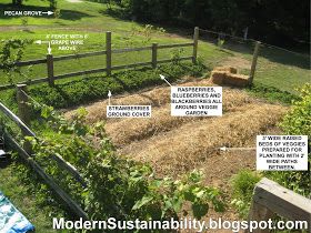 Modern Sustainability...old-fashioned methods: Our Vegetable/Berry Garden Summer 2009 Berry Garden Layout, Berry Garden, Food Garden, Fruit Garden, Garden Layout, Veggie Garden, Farm Gardens, Growing Food, Edible Garden