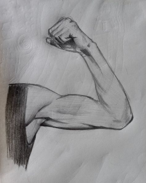 Practice muscle drawing Muscle Doodle, Muscles Sketch, Muscular Drawing, Muscle Groups Drawing, Flexing Muscles Drawing, Muscle Drawing Sketches, Muscle Sketch, Muscle Sketch Anatomy, Muscle Man Sketch