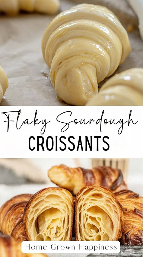 A step-by-step recipe for easy sourdough croissants. The end result is buttery, flaky pastries, sure to impress. Sourdough croissants are deliciously buttery, flaky and once you make them you can’t help but feel darn proud. Making croissants with the sourdough starter is a pretty drawn-out process, but it is not actually difficult. In this post, I will show you step by step how to make this sourdough pastry recipe. Sourdough Croissants, Easy Sourdough Discard Recipes, Starter Sourdough, Using Sourdough Starter, Recipe Using Sourdough Starter, Pastries Recipes, Sourdough Bread Recipes, Croissant Dough, Sourdough Bread Starter