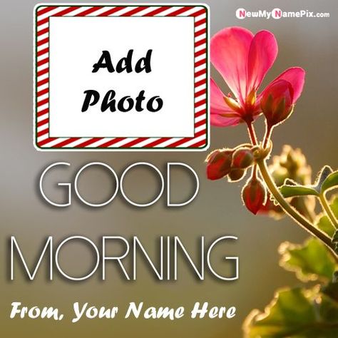 Good Morning To A Special Person, Lovely Morning, Good Morning New Images, Love Good Morning, Good Morning Wishes Latest, Beautiful Good Morning Pics, Good Morning Special Person, New Latest Good Morning Images, Morning Wishes