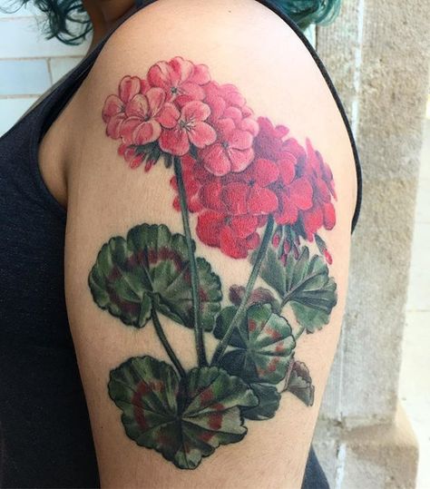 Got a healed photo of these red geraniums today! Thanks for coming by for this, Laurel- it's so useful to see how a tattoo settles in. Geranium Flower Tattoo, Geranium Tattoo, Realistic Flower Tattoo, Carnation Tattoo, Lily Flower Tattoos, Rose Shoulder Tattoo, Flower Tattoo Meanings, Watercolor Tattoo Flower, Tattoo Pictures