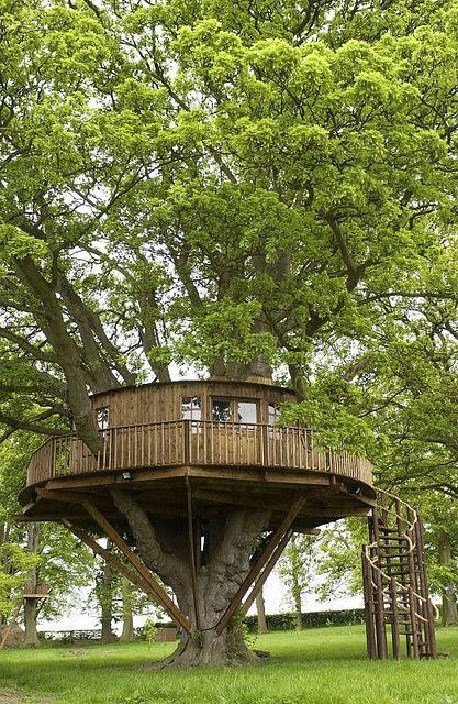 Beautiful Tree Houses, Cool Tree Houses, Tree House Designs, Beautiful Tree, Play Houses, My Dream Home, Future House, Tree House, A Tree