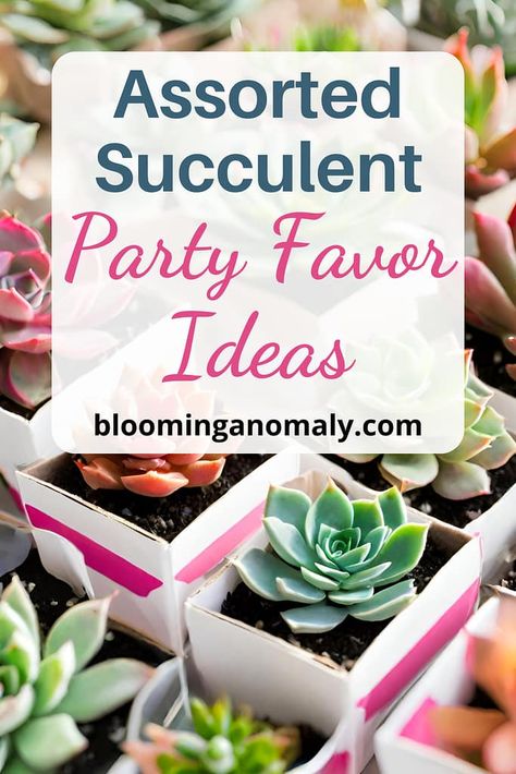 Assorted Succulent Party Favor Ideas Succulent Gifts Diy, Diy Party Favors For Adults, Succulent Party, Succulent Party Favors, 50th Birthday Party Favors, Grad Party Favors, Pink Party Favors, Party Favor Ideas, Succulent Wedding Favors