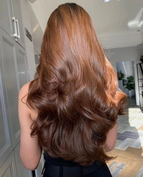 Amber Brown Hair, Brown Hair Natural, Auburn Brown Hair, Long Hair Care, Long Shiny Hair, Auburn Brown, Chestnut Hair Color, Brown Hair Looks, Hair Color Streaks