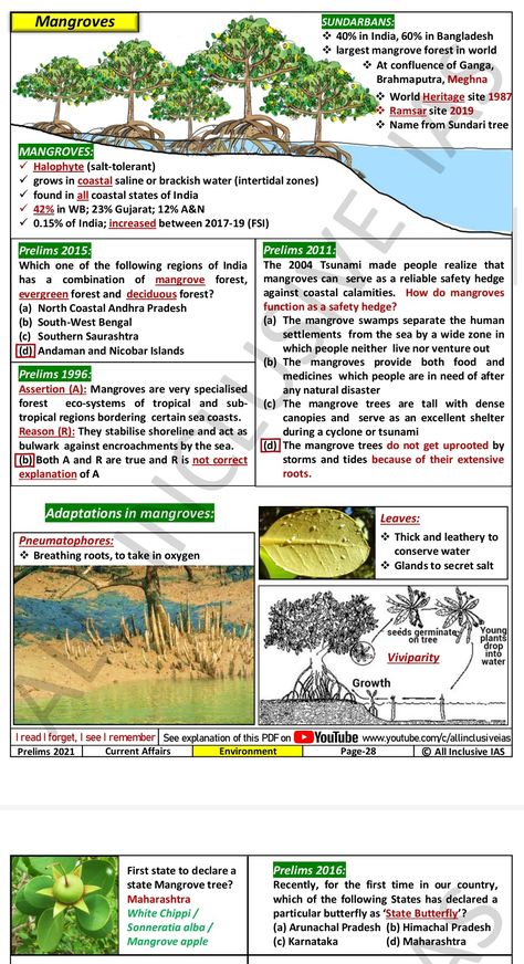 Environment Studies, Indian Geography, Learn Geography, Natural Vegetation, Basic Geography, Exam Preparation Tips, Upsc Notes, Geography Project, Ias Study Material